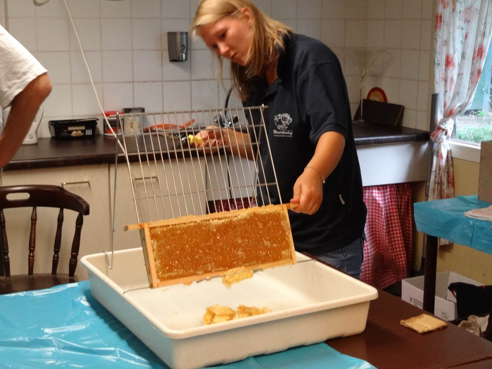 Almachtig val Implicaties Honing slingeren – Weverkeshof